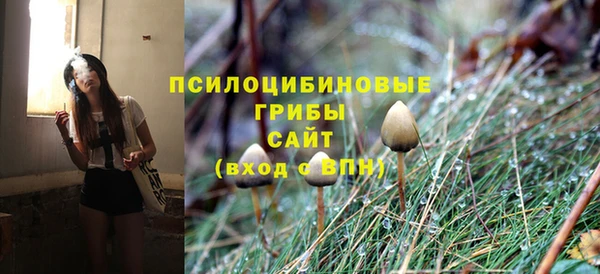 спиды Снежногорск