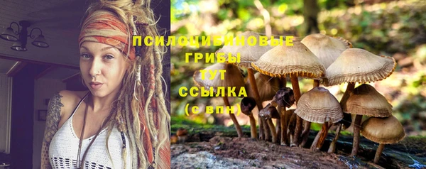 спиды Снежногорск